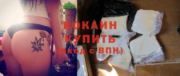 шишки Бронницы