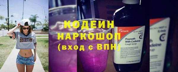 шишки Бронницы