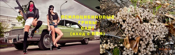 ПСИЛОЦИБИНОВЫЕ ГРИБЫ Бородино