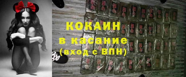 шишки Бронницы