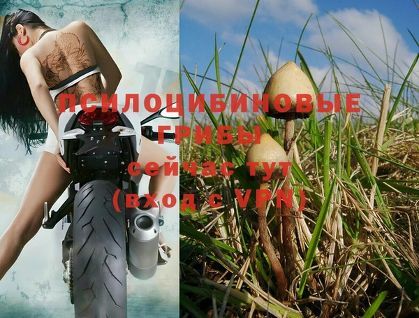 дурь Горнозаводск