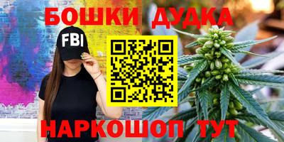 a pvp Гатчина