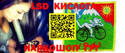 a pvp Гатчина