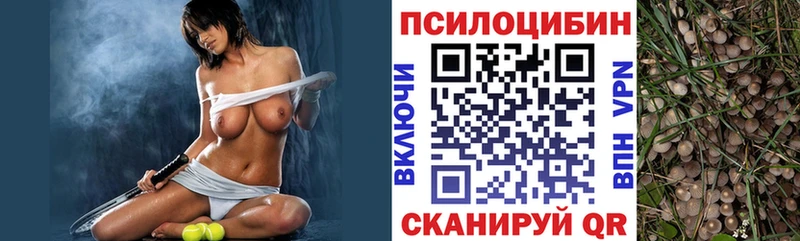 Псилоцибиновые грибы Cubensis  Донецк 