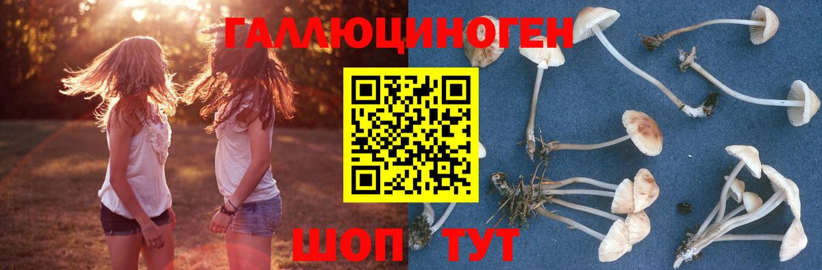 Меф МЯУ МЯУ кристаллы  Донецк  Вход с VPN  ГАШИШ  Бошки Шишки  Кокаин 